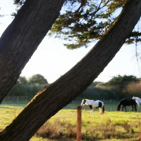 Hotel Roc'h Avel - Front De Mer, Vue Sur Et Jardin Ensoleillé Sans Vis à Vis