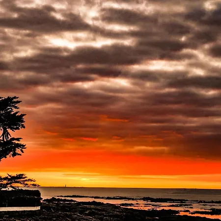 Roc'h Avel - Front De Mer, Vue Sur Et Jardin Ensoleillé Sans Vis à Vis 3*