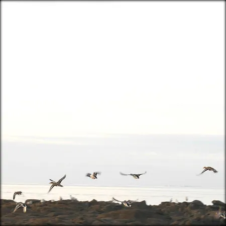 Hotel Roc'h Avel - Front De Mer, Vue Sur Et Jardin Ensoleille Sans Vis A Vis Le Croisic