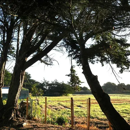 Roc'h Avel - Front De Mer, Vue Sur Et Jardin Ensoleille Sans Vis A Vis 3* Le Croisic