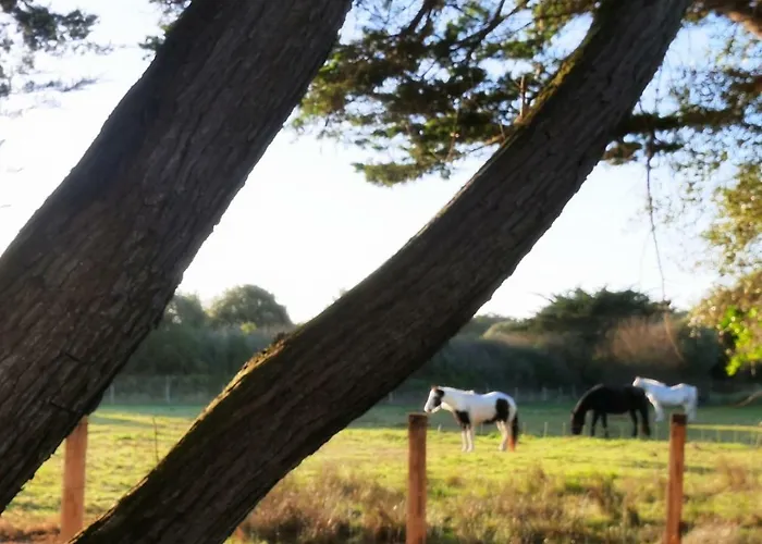 Hotel Roc'h Avel - Front De Mer, Vue Sur Et Jardin Ensoleillé Sans Vis à Vis