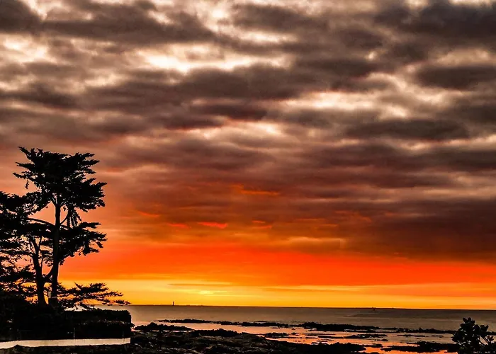 Roc'h Avel - Front De Mer, Vue Sur Et Jardin Ensoleillé Sans Vis à Vis 3*