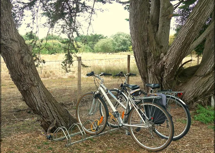 Roc'h Avel - Front De Mer, Vue Sur Et Jardin Ensoleillé Sans Vis à Vis Hotel